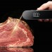 Термометр для мяса. Typhur InstaProbe Core 1